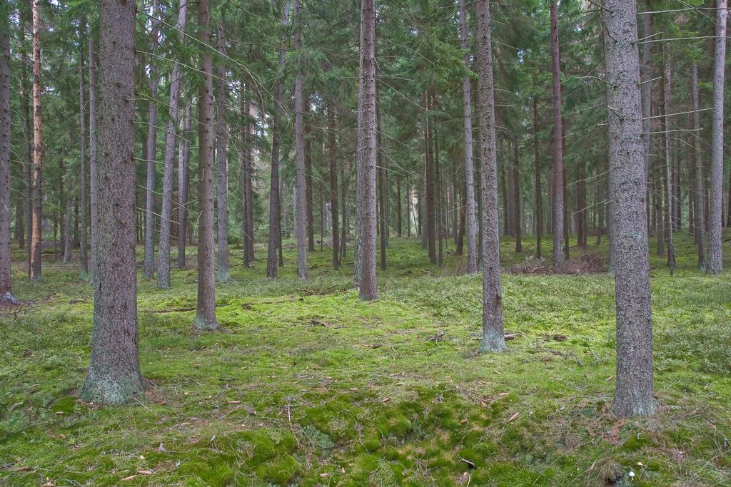 Agroturystyka Sominy Piotr Ngoại thất bức ảnh
